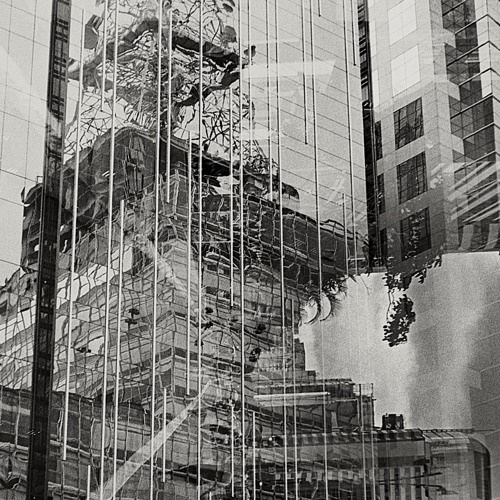 Veil Within
