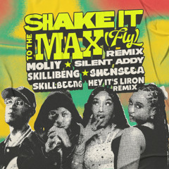 Shake It To The Max (Hey It's Liron Remix)