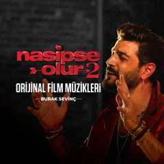 Fikrimin İnce Gülü