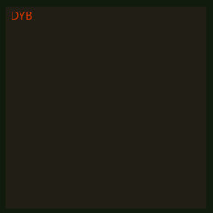 [ Simple Hifi DYB REC LTD1 ]