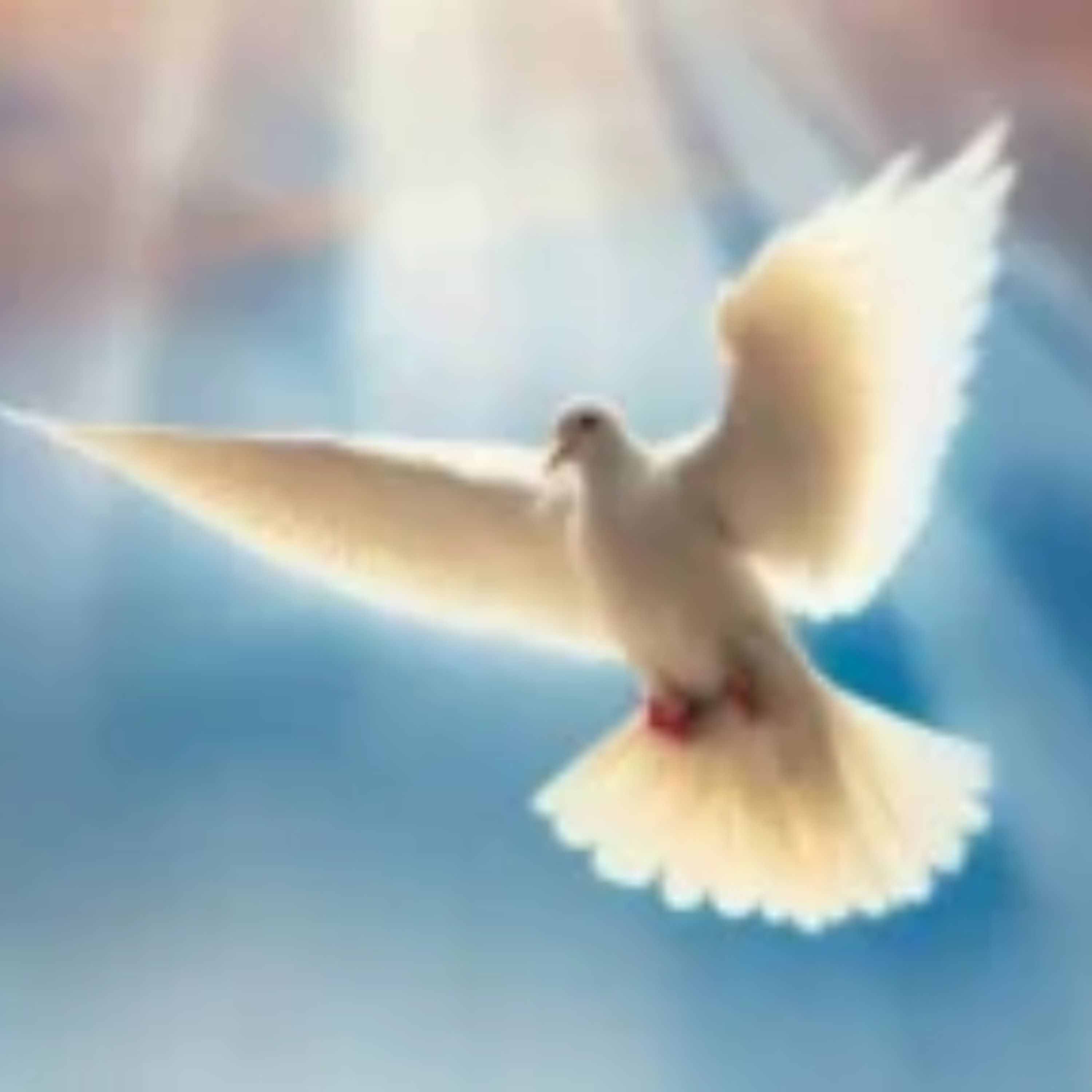 Rádio Mária Slovensko