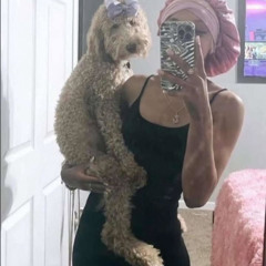 birthday samples 2025 (@findyourflamee)