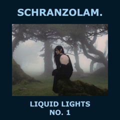 Schranzolam - Liquid Lights no. 1