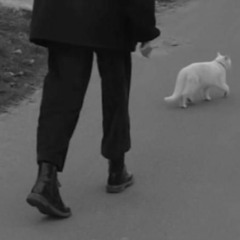 انا بغيب وان كان لك قلب ازعل