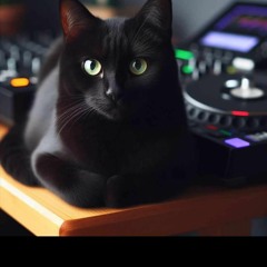 cats out the shite vol 7