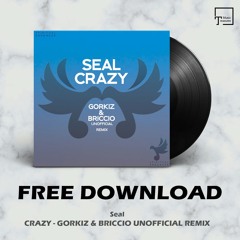 FREE DOWNLOAD: Seal - Crazy (Gorkiz & Briccio Unofficial Remix)