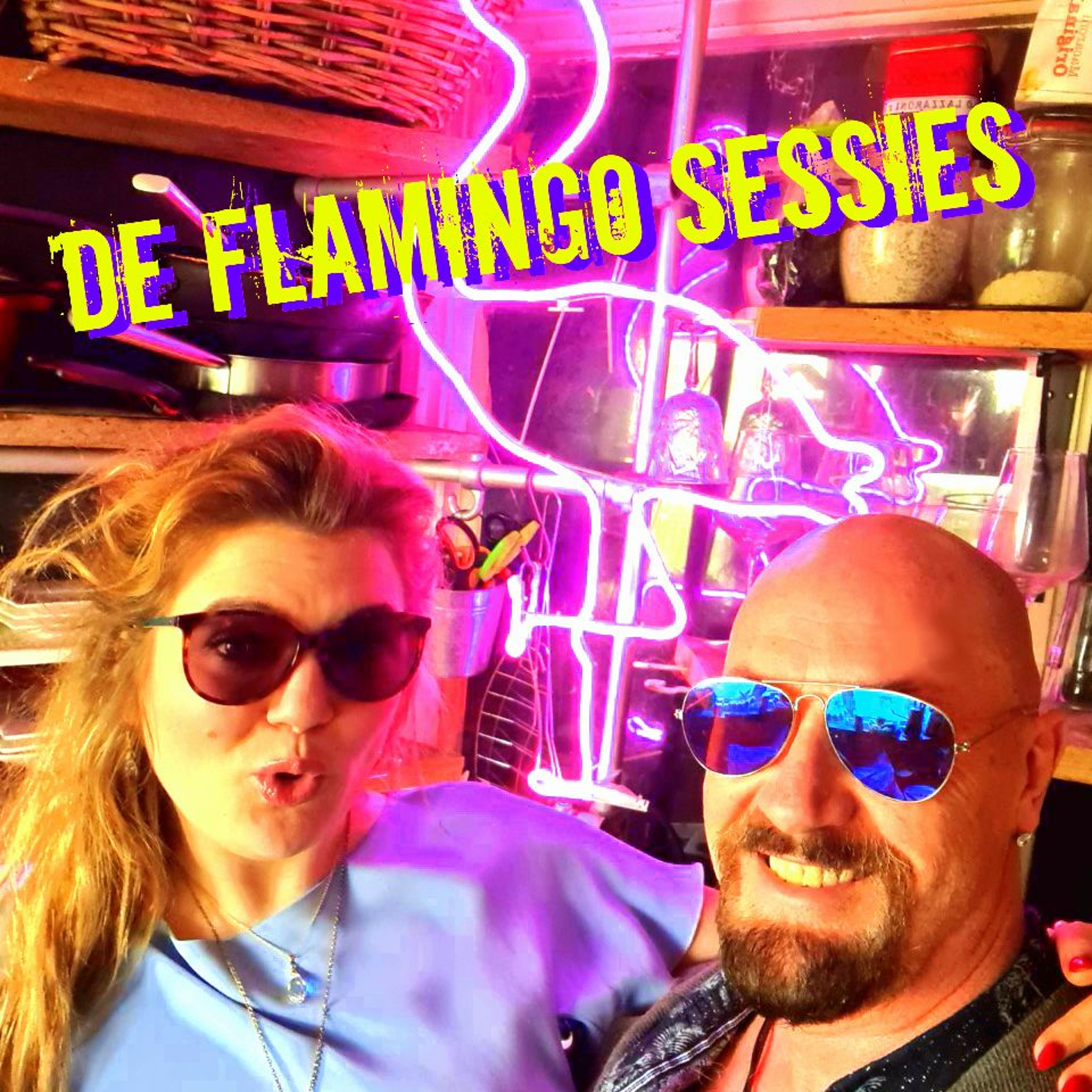 DE FLAMINGOSESSIES