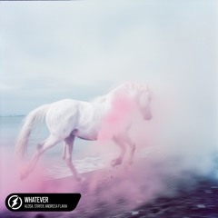 Alosa, Stayer, Andreea Flavia - Whatever