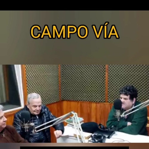 Campo Vía  por el presidente de la Academia de Historia Militar del Paraguay.mp3