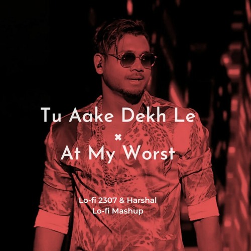 Tu Aake Dekhle X At My Worst (Lofi Mashup)