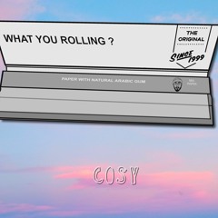 What you rolling? (prod.slickdavs)
