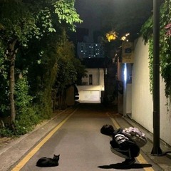 Miracle Musical - The Mind Electric (travis cover)