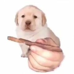 Joe Biden Boof PROD ANYTHINGSUPREME + TWNTY2MARI