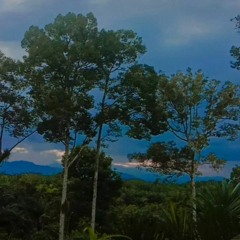 DJ PHONE CALL BOXING!! JUNGLE DUTCH DISCO FULL BASS by TONY_OFFICIAL TERBARU 2023.m4a