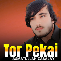 Tor Pekai