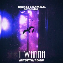 Agunda & DJ M.E.G - I wanna(Artemtia Remix)