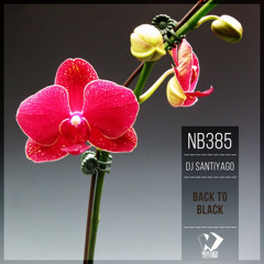 DJ Santiyago - Darkness Not Cover Light (Original Mix)