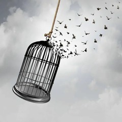 Meditation From A Cage