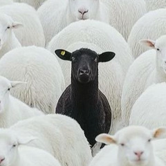 all black ft yunglegend187