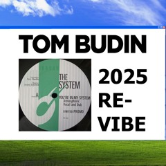 Kerri Chandler, Troy Denari, Dennis Quin - You're In My System (Tom Budin Re - Vibe)