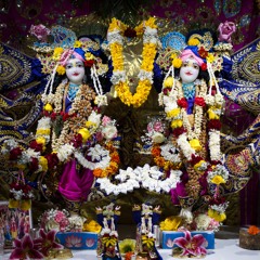 7/6/24 - Nitai Gaura Sundar 50th - Aravinda Nayana