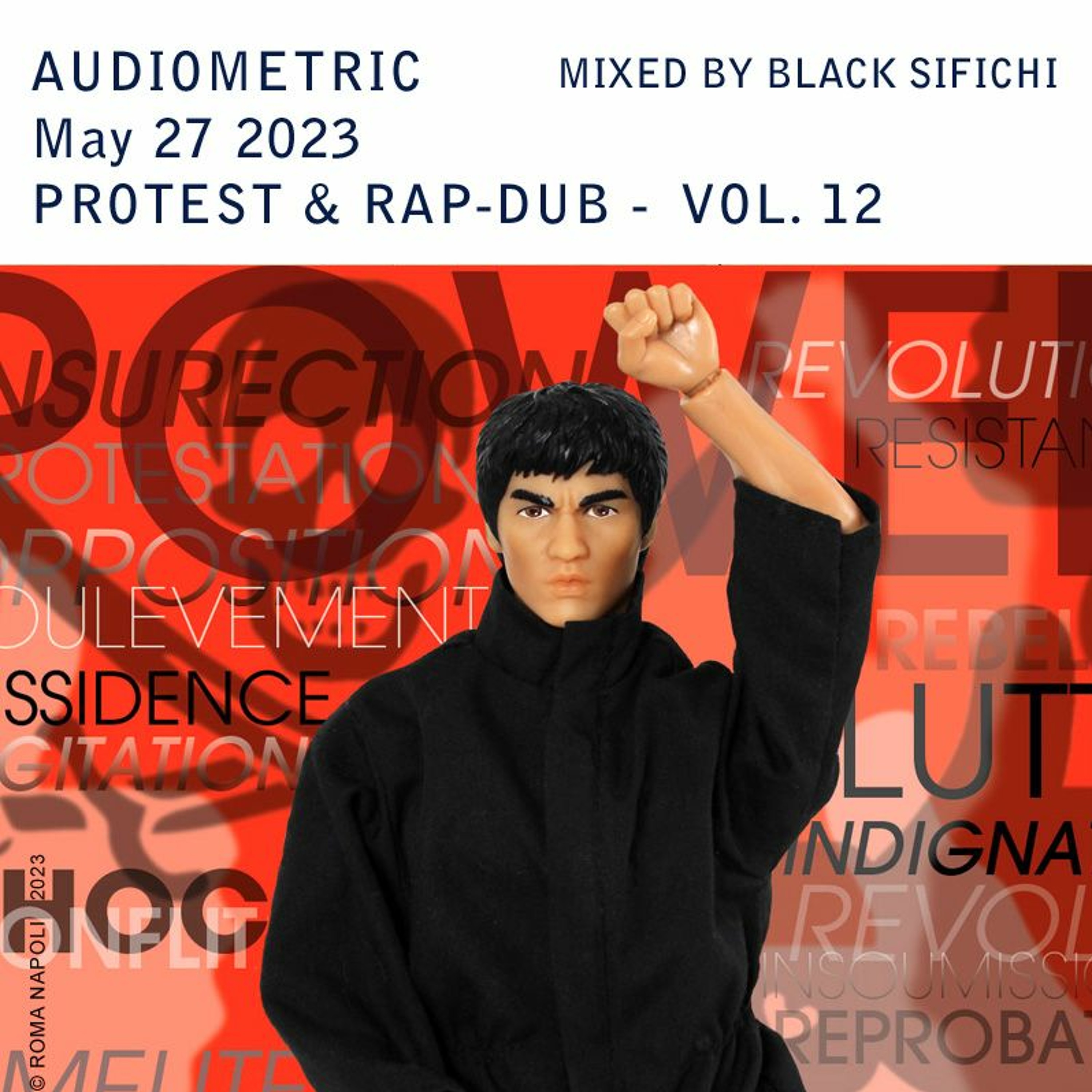 Audiometric PROTEST & RAP DUB - Vol. 12 completely mixed by Black Sifichi