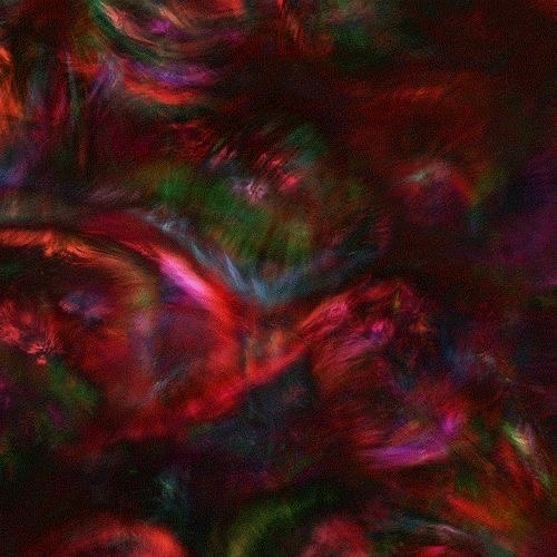 devi mccallion unreleased