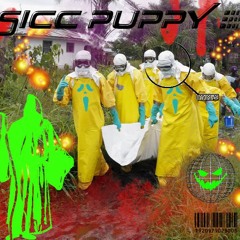 SICC PUPPY - COVID-19 MIX (HVMIX019)