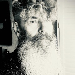 The Painted City - Wolfy O'Hare & Dean Reynolds