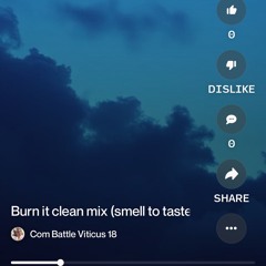 burn-it-clean-mix-(smell-to-taste-the-fear-mix).mp3