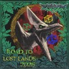 ROAD TO LOST LANDS 2025 DJ mix artwork - Electronic music tracklist cover image