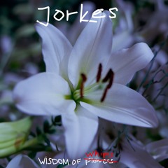 Jorkes - Wisdom Of Whip