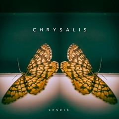 Chrysalis