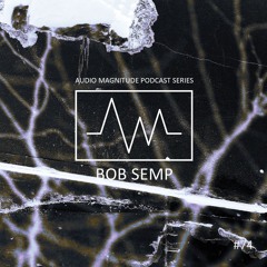 Audio Magnitude Podcast Series #74 Bob Semp