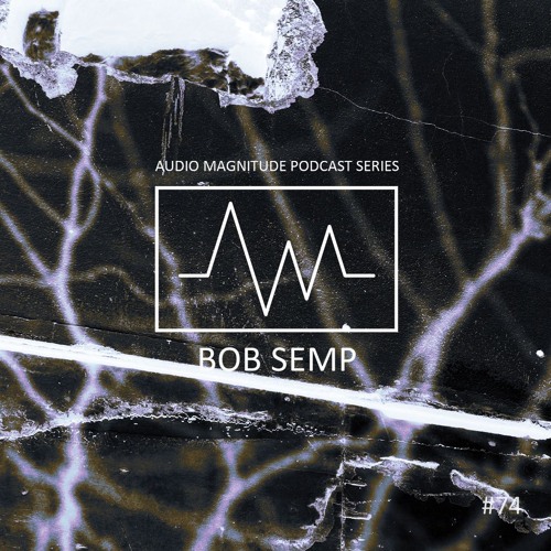 Audio Magnitude Podcast Series #74 Bob Semp