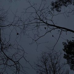 I Don't Wanna Fall Alone w sleepy!(prod. sk8miles)