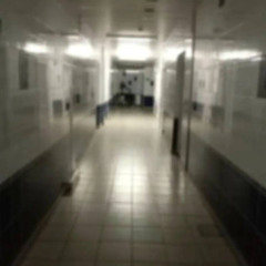 тень убийцы ⵜⵉⵍⵉ ⵏ ⵓⵏⴻⵖⵎⴰⵙ rayx