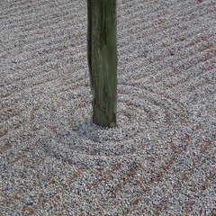 The 6th Sense (Remix) with Jörg