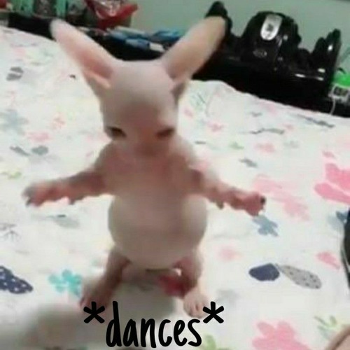 Stream 長谷川白紙 わたしをみて Artiswitch アーティスウィッチ Hakushi Hasegawa Look At Me By Nurselovesweet Listen Online For Free On Soundcloud