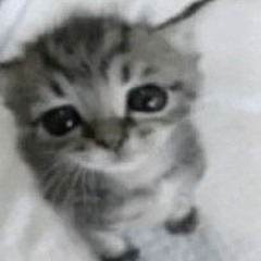 wait...(( [Felaithh]