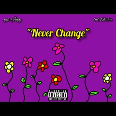 Never Change (feat. tnt Shaba)
