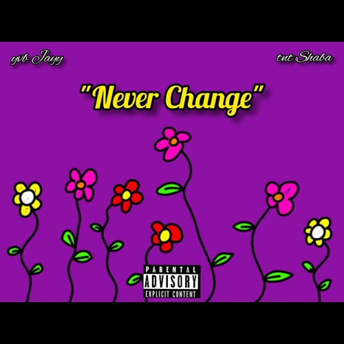 Never Change (feat. tnt Shaba)