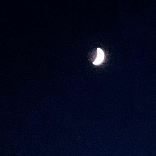 Moonlight (Remix)