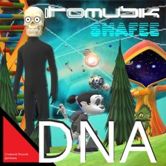 Shafee - DNA Itomusik Rec.