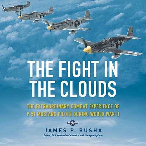 The Fight in the Clouds by James P. Busha Read by Adam Grupper - Audiobook Excerpt