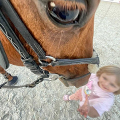 riding-horse