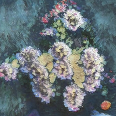 Roses of Bewilderment