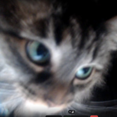 lets try again (demo)