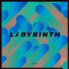 Labyrinth (colorify VIP)