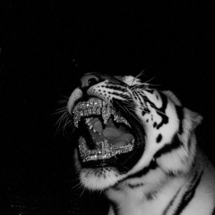 PACK FREE NOVIEMBRE VOL 1 (REMIXES, EDITS)